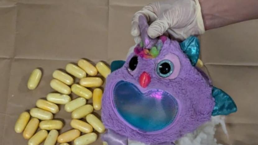 சாங்கி விமான நிலையத்தில் சுமார் 27 கிலோகிராம் கொக்கெய்ன் பறிமுதல் - 5 வெளிநாட்டுப் பெண்கள் கைது 