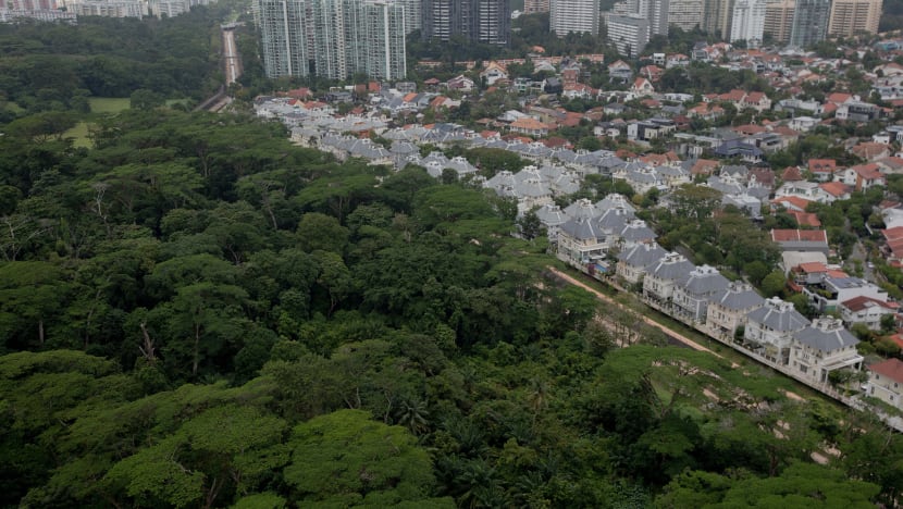 HDB to extend public consultation on Dover Forest by 4 weeks: Desmond Lee