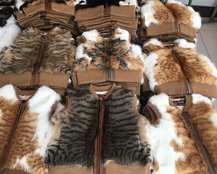 Facebook post alleging cats being tortured, killed for fur in China goes viral