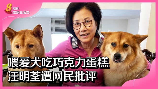 喂爱犬吃巧克力蛋糕　汪明荃遭网民批评