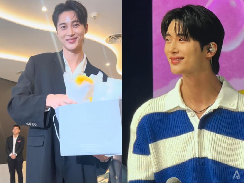 What went down at Lovely Runner star Byeon Woo-seok's first fan meet in Singapore