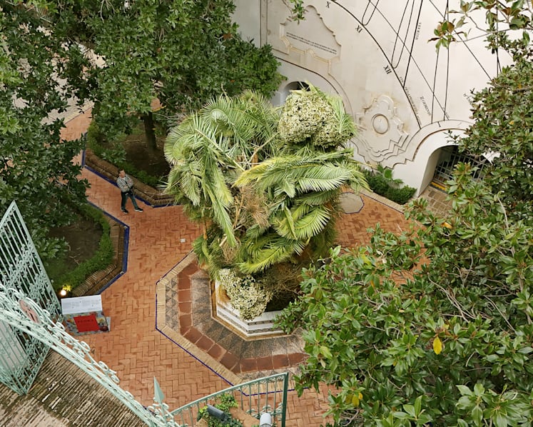 Singapore’s This Humid House wins first prize at the prestigious Flora International Flower Festival 2024