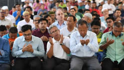 Related article image