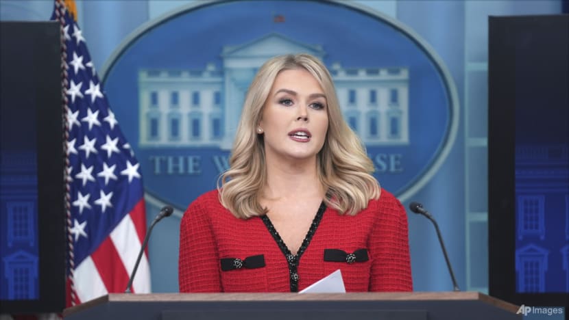 ‘Hypocrites exposed’: White House press secretary mocked for wearing ‘Made in China’ dress