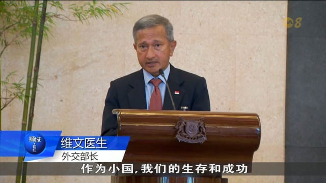 维文：全球瞬息万变 我国须以战略远见应对未来挑战