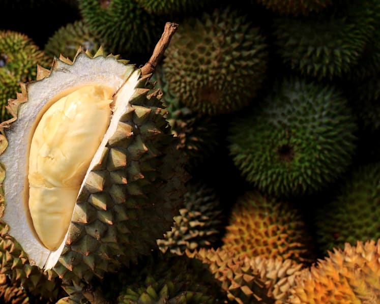 Thai durian growers brace for China's stringent import checks under zero-COVID-19 policy