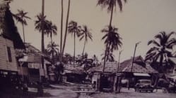 Related article image