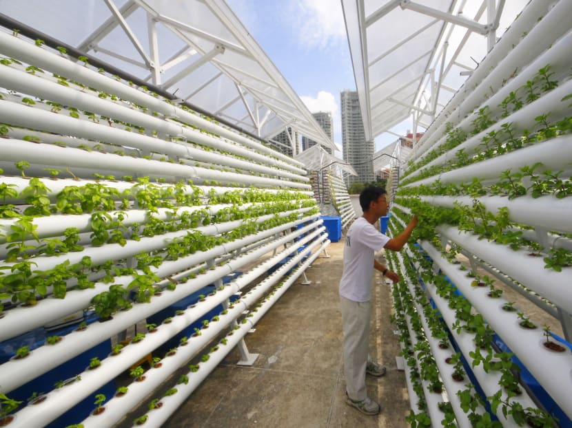 Singapore tops index measuring food security, but vulnerable to trade and climate-related risks