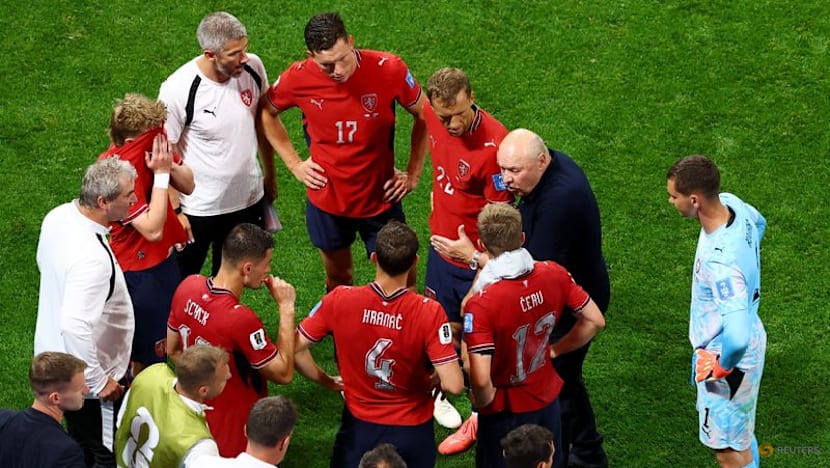 Czechs closer to victory than South Africa, says Koubek