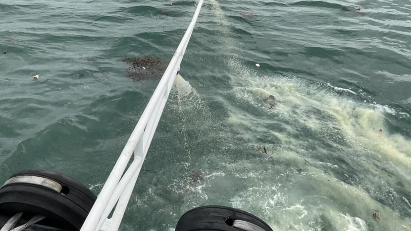Oil pipeline leak: Booms deployed at Marina Barrage, Sentosa and East Coast Park Oil pipeline leak: Booms deployed at Marina Barrage, Sentosa and East Coast Park