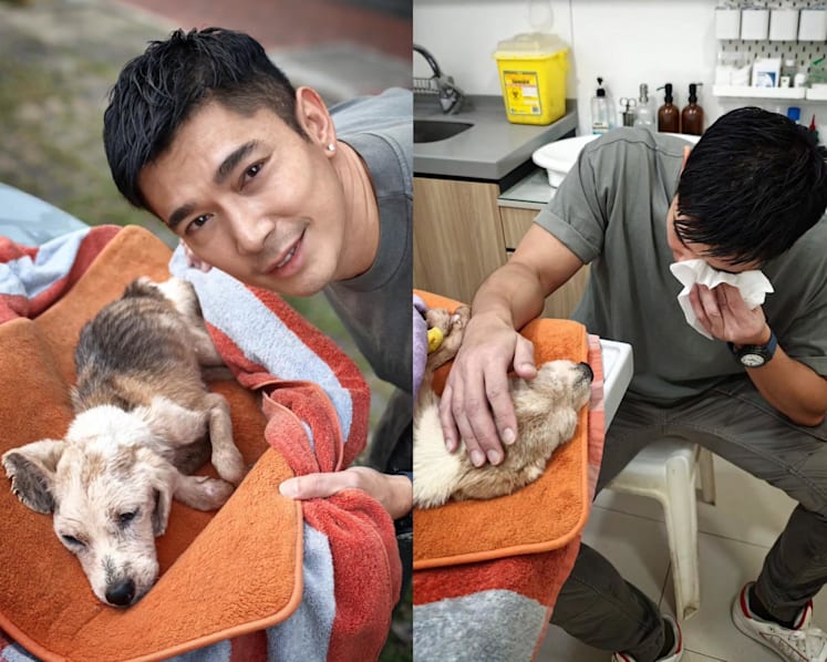 Elvin Ng had to euthanise his 17-year-old dog due to declining health: 'I felt I could have done better for her' Elvin Ng had to euthanise his 17-year-old dog due to declining health: 'I felt I could have done better for her'