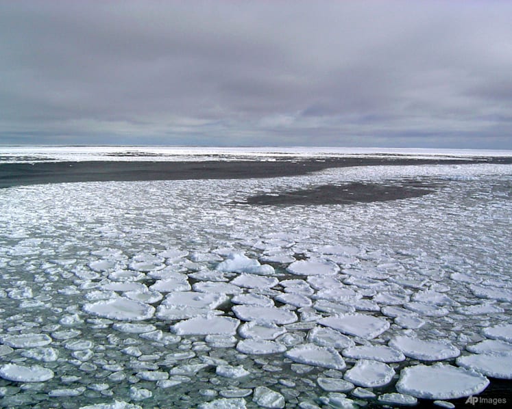 Global heat is just the latest 2023 extreme that shows an Earth in crisis
