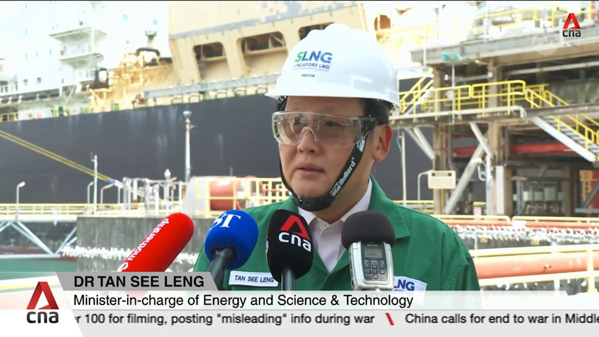 Singapore has not yet dipped into energy stockpile, is prepared for  multiple scenarios: Tan See Leng