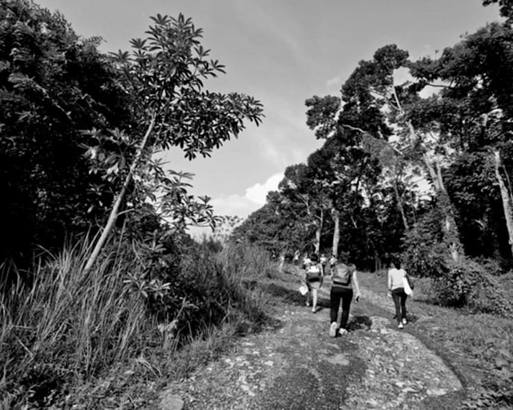 Moving from tension to symbiosis in a distinctive city