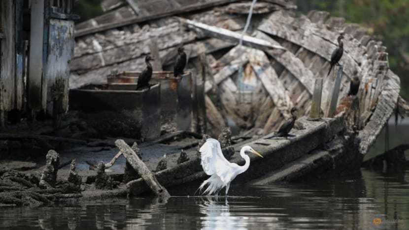 Fishermen in Rio de Janeiro use app to record, report water pollution