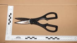 Related article image