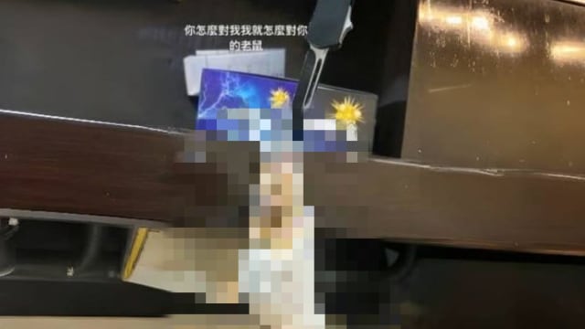 台男与女友争吵拿宠物出气 用塑料袋套仓鼠头