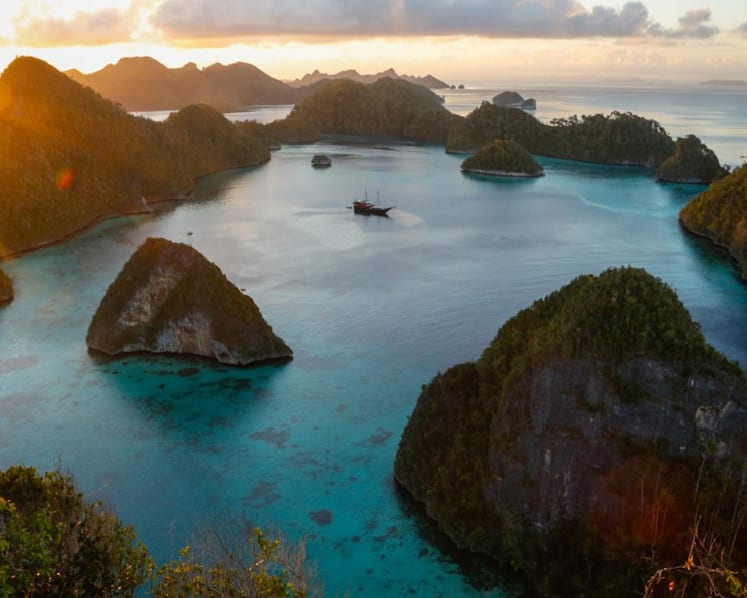 Why companies must lead the sustainability charge