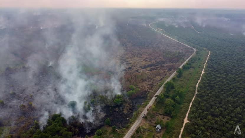 Kebakaran hutan merebak di Sumatra Selatan, terburuk dalam 10 tahun 
