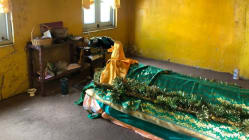 Related article image