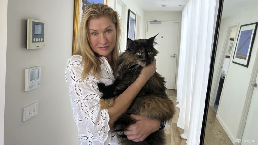Cat becomes accidental frequent flyer after getting mistakenly left on Air New Zealand flight Cat becomes accidental frequent flyer after getting mistakenly left on Air New Zealand flight