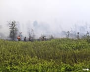 Make it rain: Indonesia chases clouds to stem El Nino fires