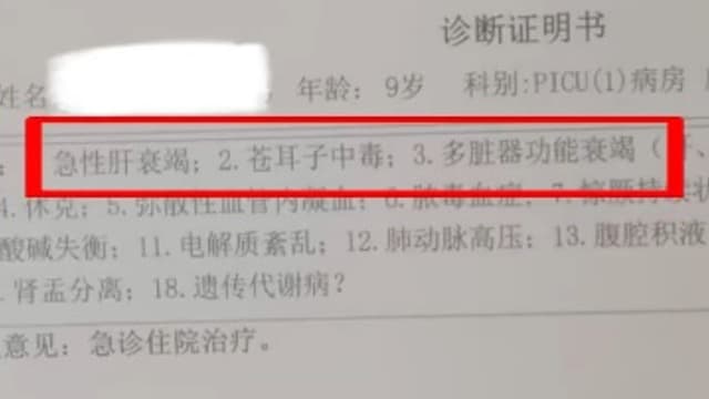中国奶奶错信治鼻炎偏方 路边采苍耳子至孙子中毒