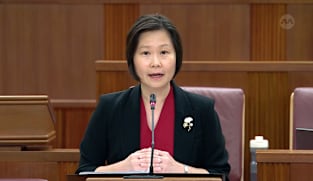 Gan Siow Huang on electricity costs for residents and businesses on Pulau Ubin