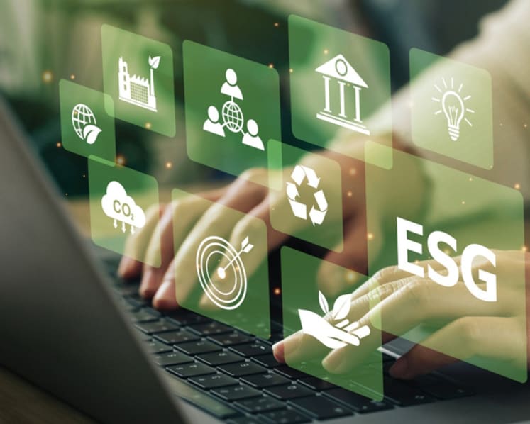 5 compelling reasons to embrace sustainability education 