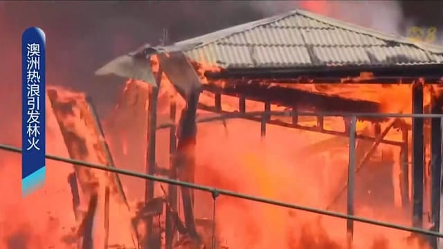 澳洲新南威尔士州热浪引发林火 烧毁数千公顷灌木丛