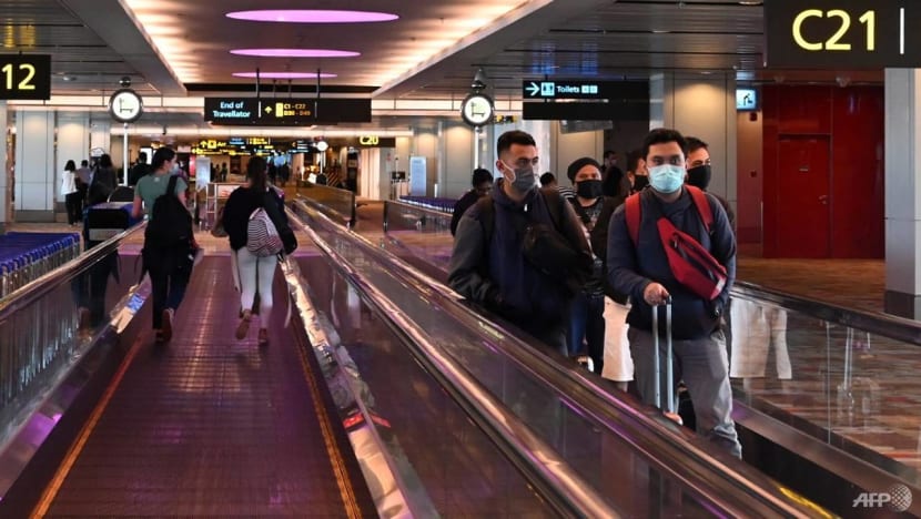 Singapore, Germany agree to set up 'green lane' for essential business and official travel