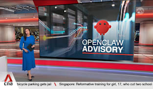 Singapore's IMDA warns users against granting OpenClaw unrestricted access