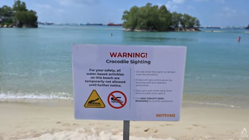 Tiada lagi buaya kelihatan di Sentosa; penggantungan aktiviti air ditarik balik