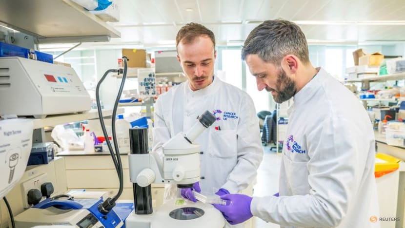High UK visa costs deter international scientists and engineers High UK visa costs deter international scientists and engineers