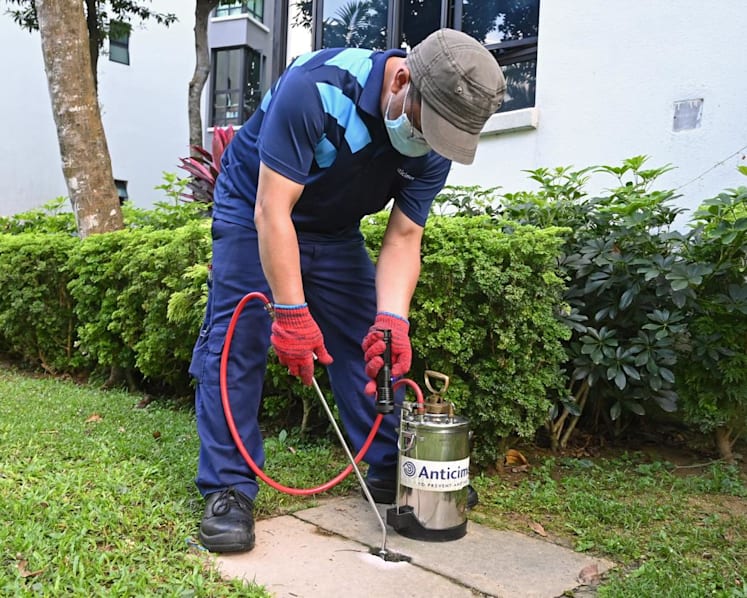 'Not rocket science': How one condominium is taking steps to fight dengue