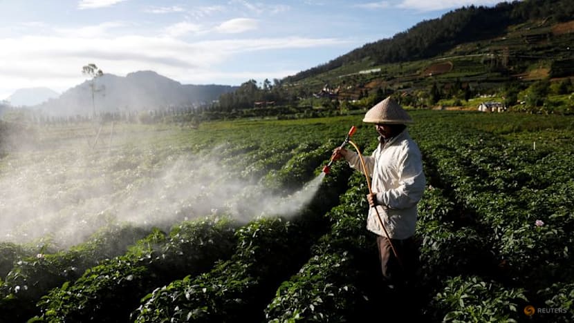 Indonesia to invest $22 billion in agricultural processing, minister says