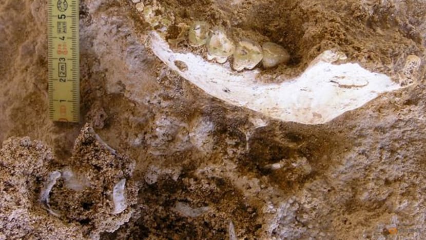 Fossils found in Moroccan cave may be a close Homo sapiens ancestor