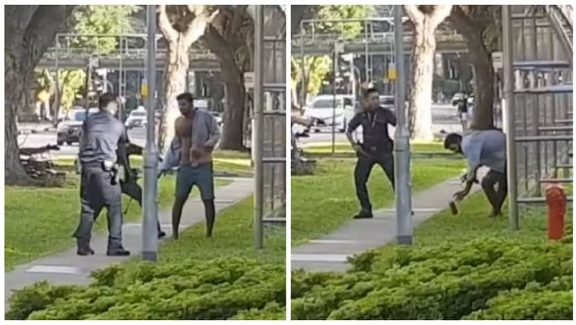 Man tasered at Everton Park gets jail, cane for robbery, vandalism and assaulting police