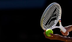 Line calling system glitch halts play at Wimbledon qualifying