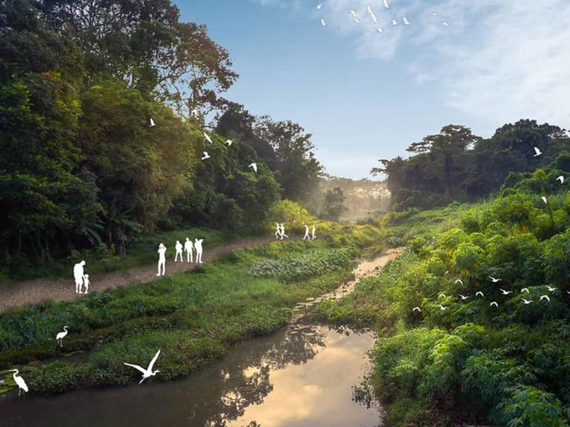 Two new trails at Clementi Nature Corridor to be progressively ready from 2023