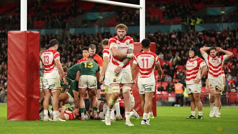 Springboks plunder nine tries in 61-7 rout of Japan