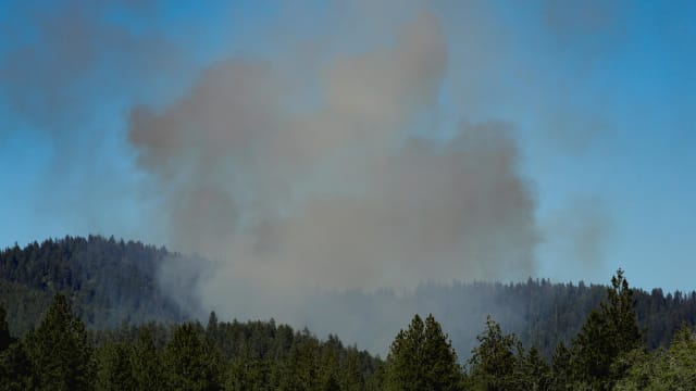 美国爱达荷州林火现场爆枪击 多名消防员中弹