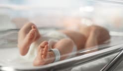 Viral driver ojol di Medan dikejutkan paket berisi mayat bayi