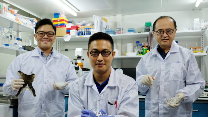 NTU researchers create biomaterial to help repair bones using waste consisting of bullfrog skin, fish scales