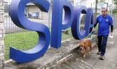 Love them, but not too much: SPCA's longest-serving employee on coping with the ups and downs of handling animals for 46 years