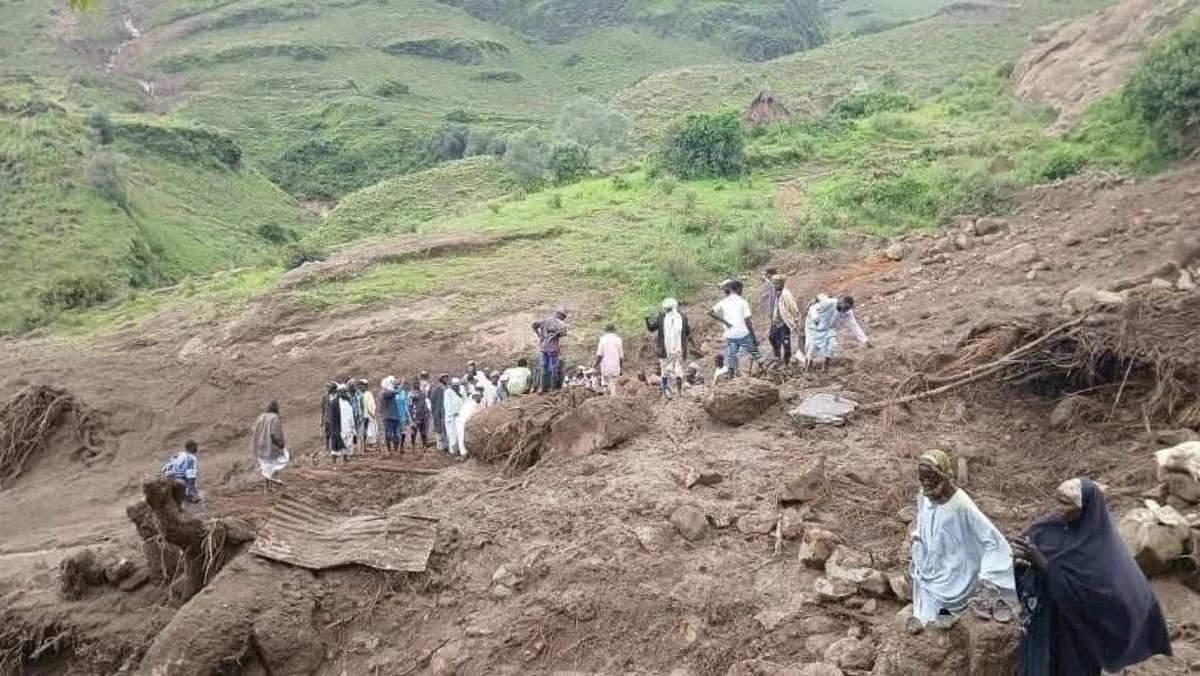 Over 1,000 killed in landslide in Sudan's Darfur region