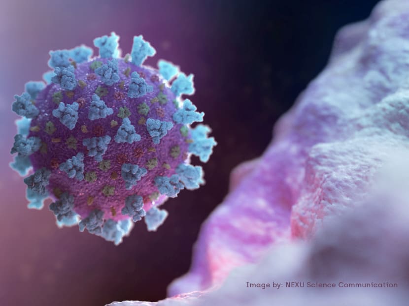 A computer image, created by Nexu Science Communication together with Trinity College in Dublin, shows a model structurally representative of a betacoronavirus, which is the type of virus linked to Covid-19. A computer image, created by Nexu Science Communication together with Trinity College in Dublin, shows a model structurally representative of a betacoronavirus, which is the type of virus linked to Covid-19.