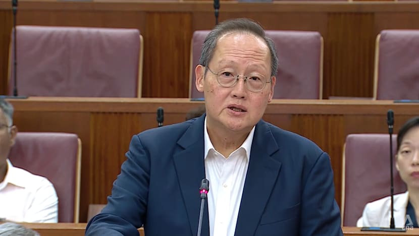 Tan See Leng says he would never have entered politics if money had been primary consideration