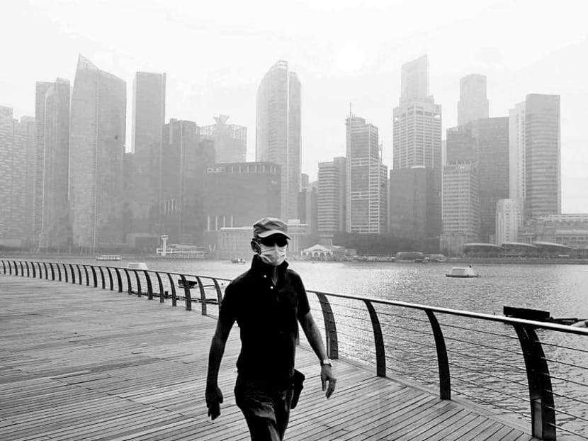 Singapore has tried for decades to resolve the haze pollution issue, but is not looking at a possible solution in its own backyard. It is a major palm-oil trading hub and many of its banks are major financiers of agricultural companies in the region. TODAY File Photo