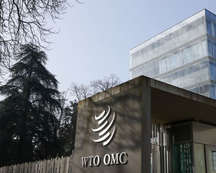 Explainer-What is the World Trade Organization e-commerce moratorium?